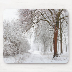 Tree Alley   Stupinigi Parc, Italy Mouse Mat