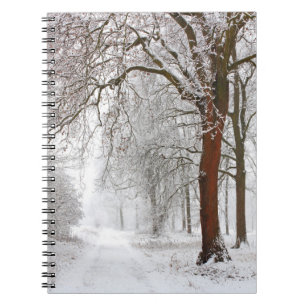 Tree Alley Stupinigi Parc, Italy Notebook