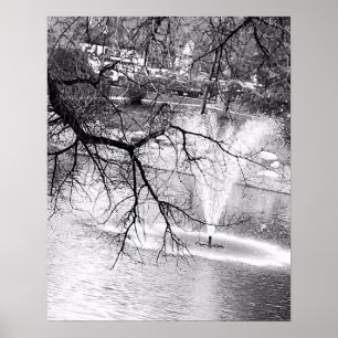 Tree and a Fountain Poster