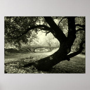 Tree and Bridge in Central Park Poster