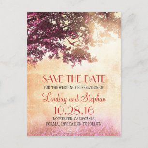 tree and love birds rustic vintage save the date announcement postcard