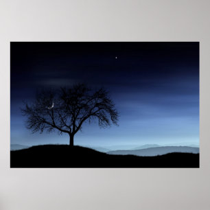 Tree and Moon Poster