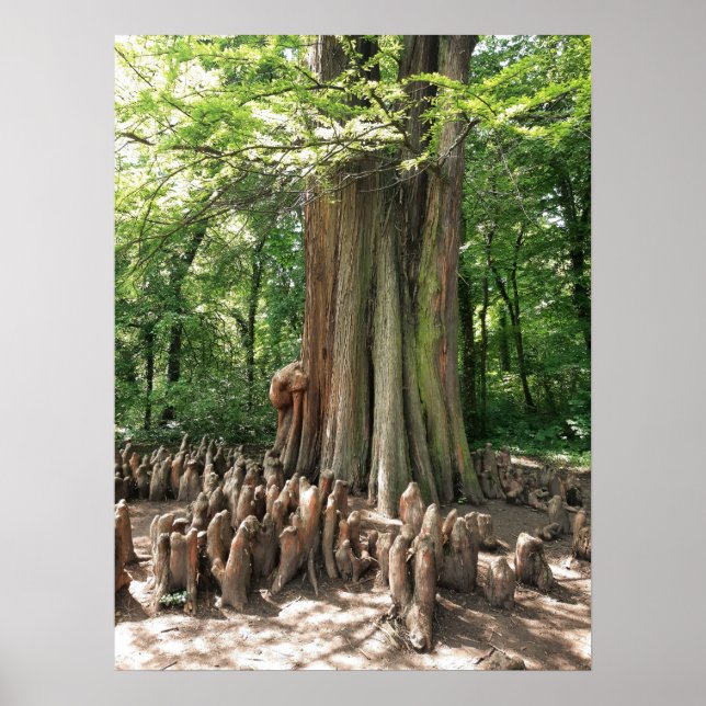Tree and roots poster (Front)