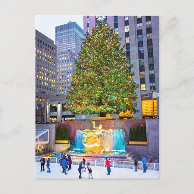 Tree And Skaters 2015 Postcard (Front)