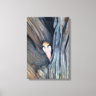 tree angel wrapped canvas