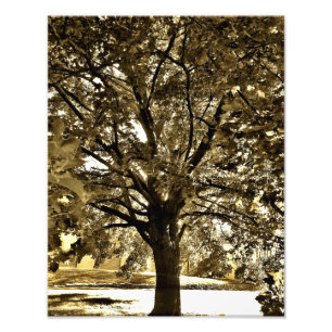 Tree Art View Photo Print