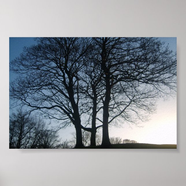 Tree at Dusk Poster (Front)