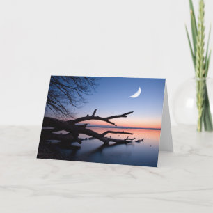 Tree at Starnberg Lake   Muensing Bavaria Germany Card