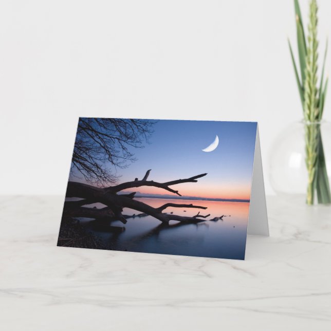 Tree at Starnberg Lake | Muensing Bavaria Germany Card (Front)