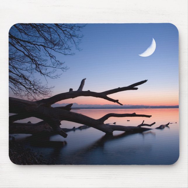 Tree at Starnberg Lake | Muensing Bavaria Germany Mouse Mat (Front)