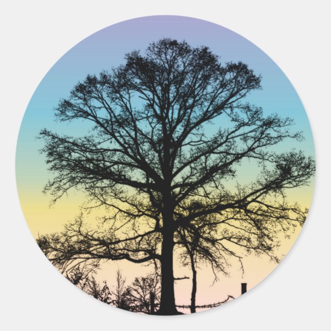 Tree at Sunset Classic Round Sticker (Front)