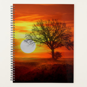 Tree at Sunset Planner
