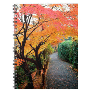 Tree Autumn Colours Japan Notebook
