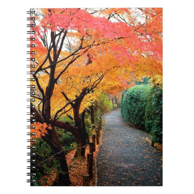 Tree Autumn Colours Japan Notebook (Front)