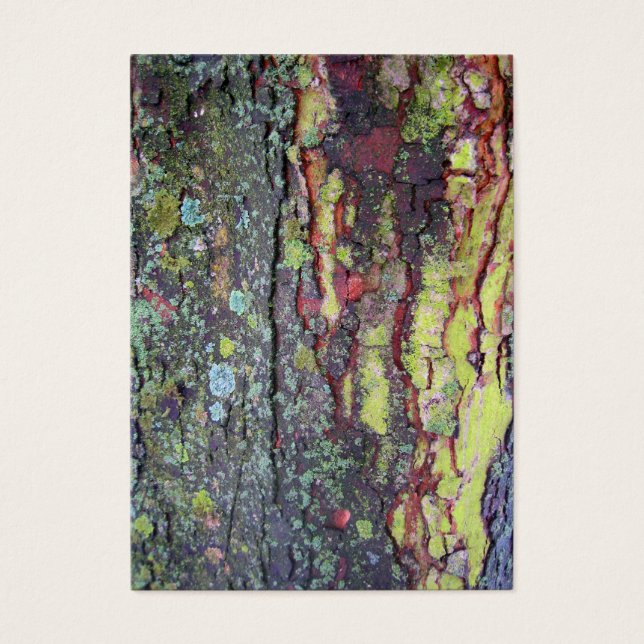 Tree Bark (Front)