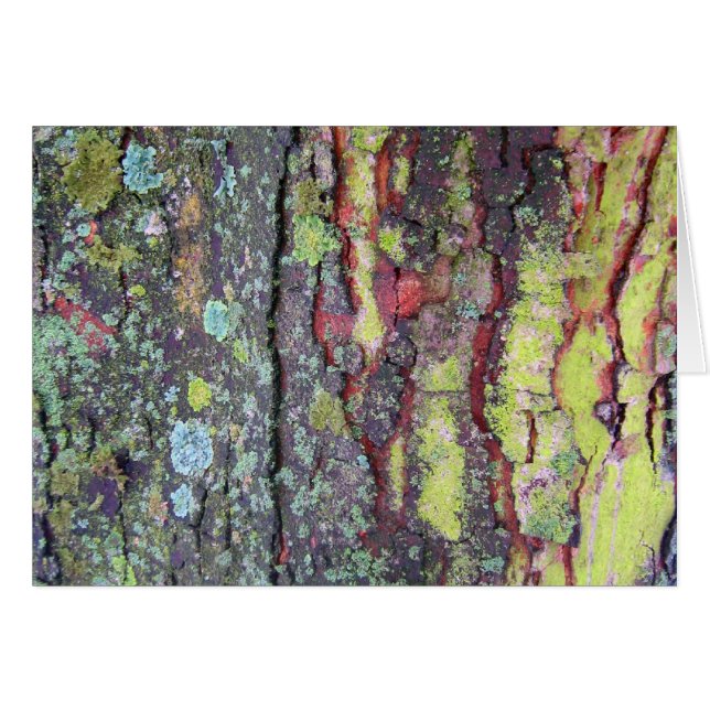 Tree Bark (Front Horizontal)