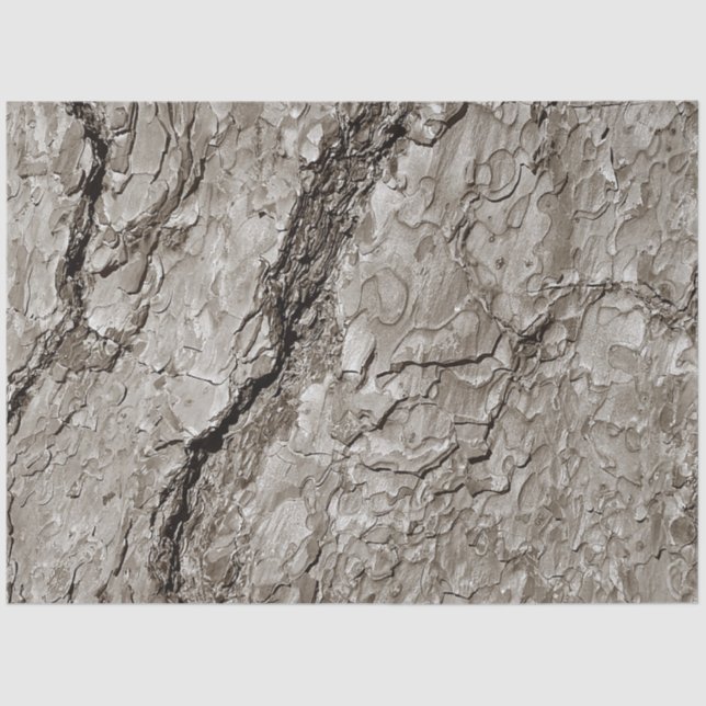 Tree Bark A Tissue Paper (Front)