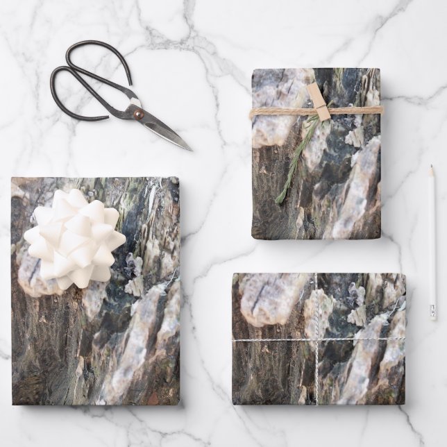 Tree Bark Abstract Wrapping Paper Sheet (Front)