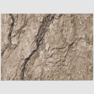 Tree Bark B Tissue Paper