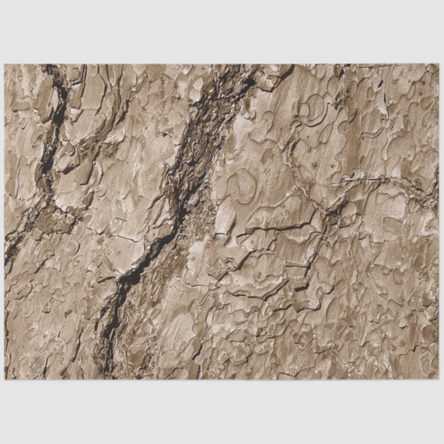 Tree Bark B Tissue Paper (Front)