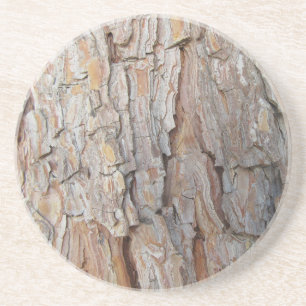 Tree Bark Fall Autumn Patterns Coaster