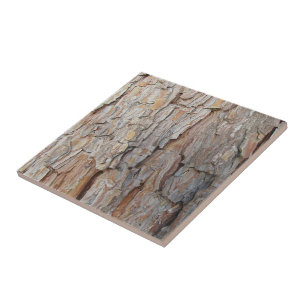 Tree Bark Fall Autumn Patterns Tile