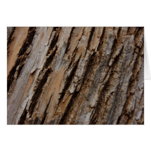 Tree Bark I Natural Abstract Textured Design