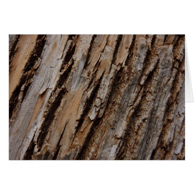 Tree Bark I Natural Abstract Textured Design (Front Horizontal)