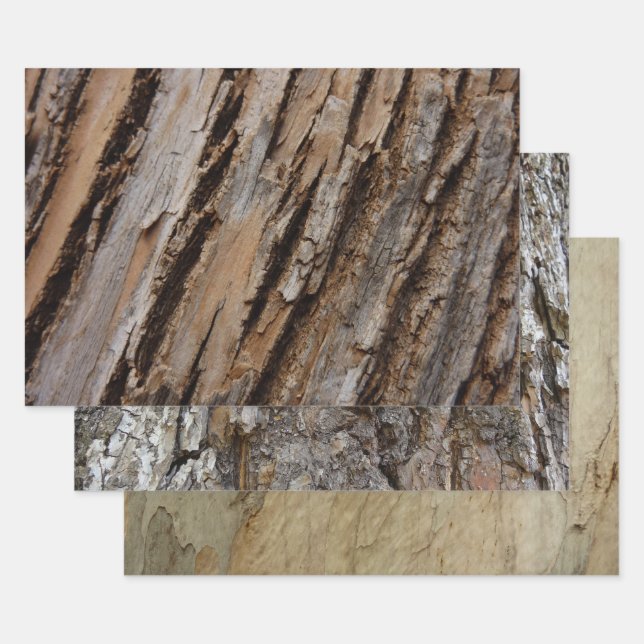 Tree Bark I Natural Abstract Textured Design Wrapping Paper Sheet (Set)