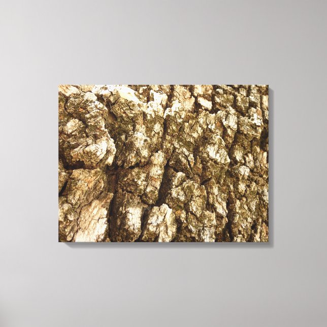 Tree Bark II Natural Textured Design Canvas Print (Front)
