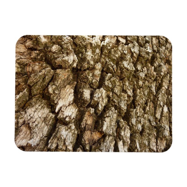 Tree Bark II Natural Textured Design Magnet (Horizontal)