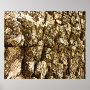 Tree Bark II Natural Textured Design Poster