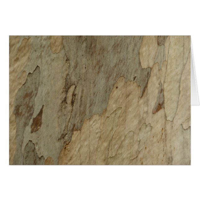Tree Bark III Natural Abstract Textured Design (Front Horizontal)