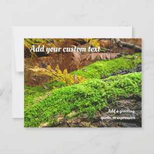 Tree Bark in Autumn Moss - Personalised Postcard