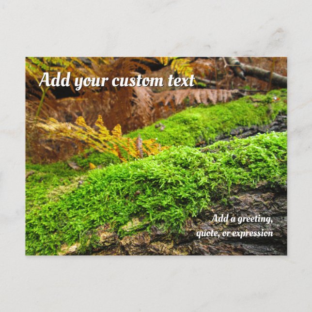 Tree Bark in Autumn Moss - Personalised Postcard (Front)