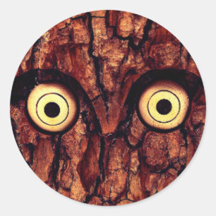 Tree bark owl rustic brown cute classic round sticker