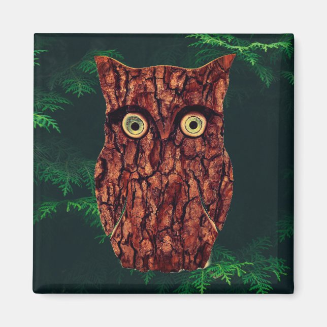 Tree bark owl rustic evergreen green brown magnet (Front)