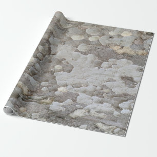 Tree bark pattern wrapping paper