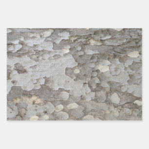 Tree bark pattern wrapping paper sheets