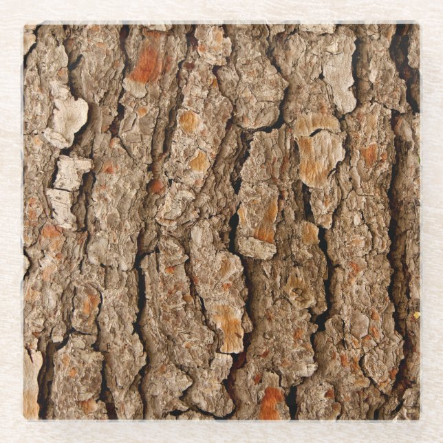 Tree Bark Texture Glass Coaster (Front)