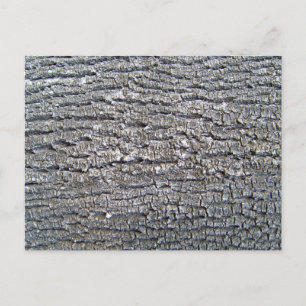 Tree Bark Texture Horizontal Postcard