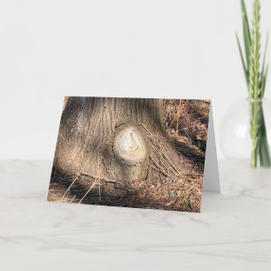 Tree Bark Texture Large Knothole Photograph Card