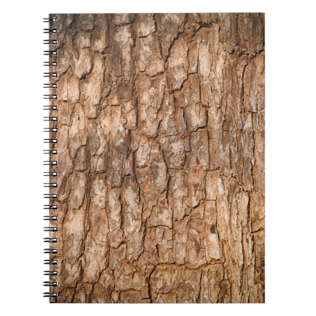 Tree bark texture, natural wood background. notebook (Front)