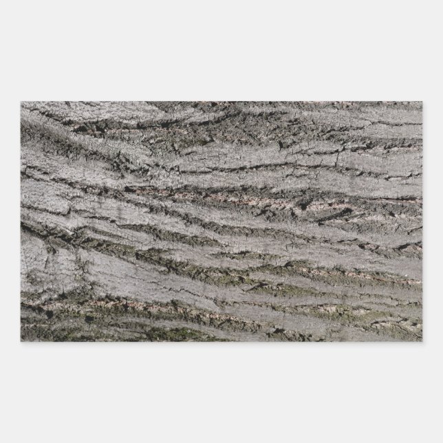 tree bark texture pattern nature plant rectangular sticker (Front)