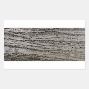 tree bark texture pattern nature plant rectangular sticker