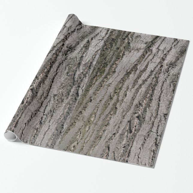 tree bark texture pattern nature plant wrapping paper (Unrolled)