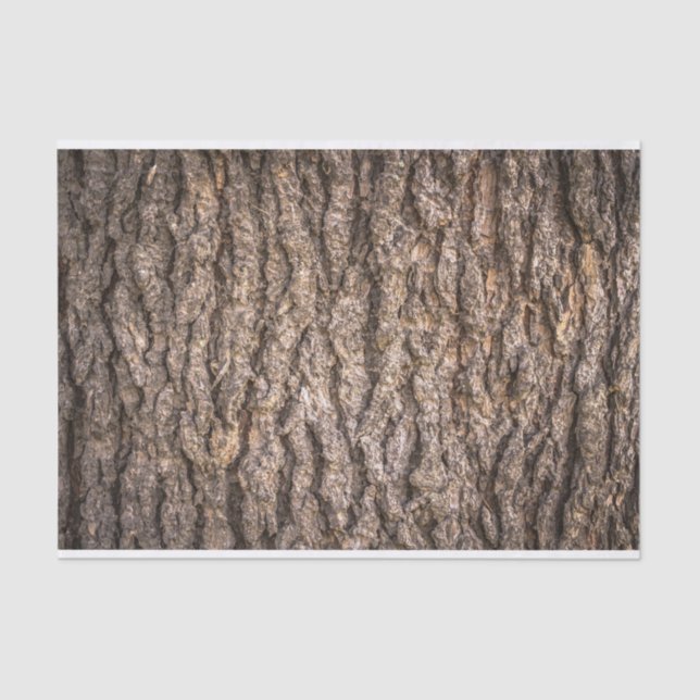 Tree Bark Texture Tissue Paper (Front)