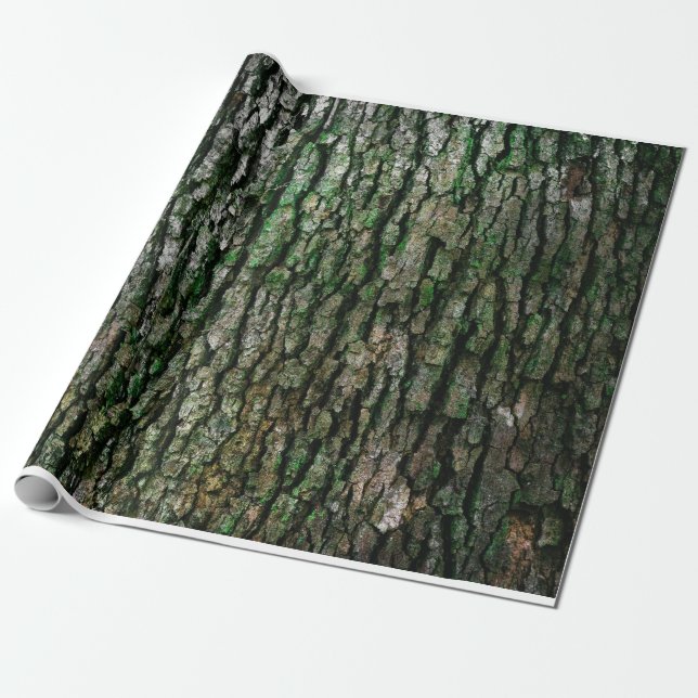 Tree bark texture wrapping paper (Unrolled)