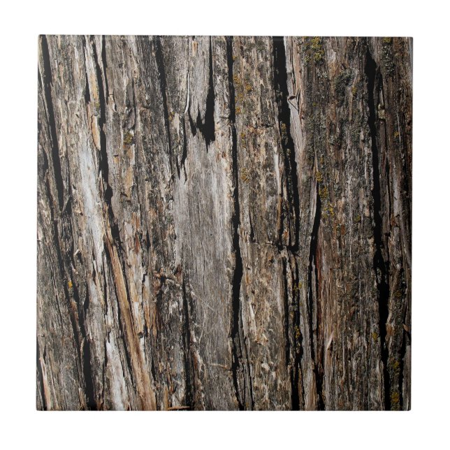 Tree Bark Tile (Front)