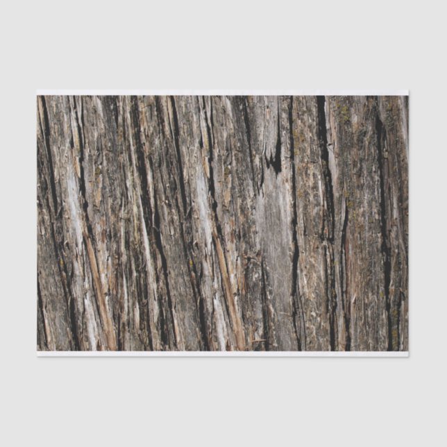 Tree Bark Tissue Paper (Front)